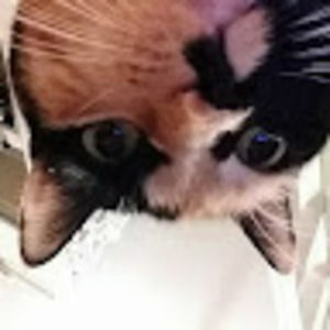 Meet your Posher, Delaney